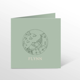 GEBOORTEKAARTJE ILLUSTRATIE 'FLYNN'