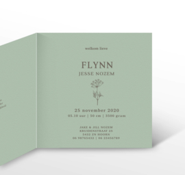 GEBOORTEKAARTJE ILLUSTRATIE 'FLYNN'