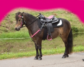 Western zadel pony pink