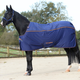 Recuptex Therapy Rug