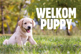 PuppyPakket