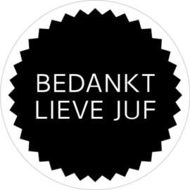 Kadosticker Bedankt lieve juf 10 st