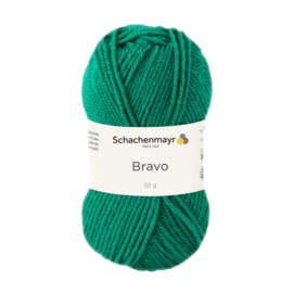 Bravo SMC 8246 Gras - Groen