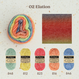 Scheepjes Stone Washed Flow 02 Elation
