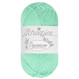 Scheepjes Organicon Spearmint 229