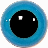 Veiligheidsoogjes 12 mm Blauw Niet transparant