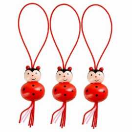 Houten cadeau labels - Lieveheersbeestje