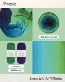 Scheepjes Cotton Whirl - 730 Berry Breeze