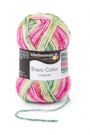 Bravo Color SMC 2123 Wassermelone color