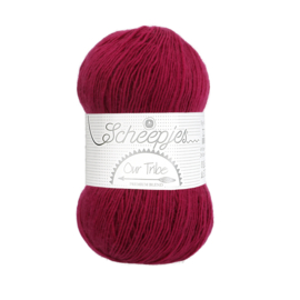 Scheepjes Our Tribe 877 Raspberry Radiance