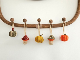Durable haakpakket Herfstslinger!