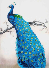 Diamond Dotz Blue Peacock