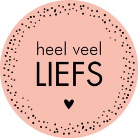 Kadosticker Heel veel liefs 10 st