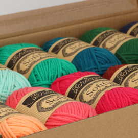 Scheepjes Softfun colour pack Floral Fantasy