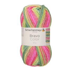 Bravo Color SMC 2123 Wassermelone color