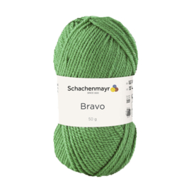 Bravo SMC 8191 Yarn - Licht mosgroen