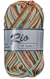 Lammy Yarns Rio katoen multi kleur 638