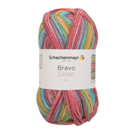 Bravo Color SMC 2120 Clown color