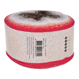 Scheepjes Whirl Birthday Cake 1x1000m - 798 Berry on Top
