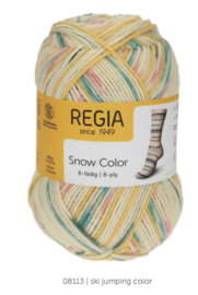 Regia 8ply snow color 8113