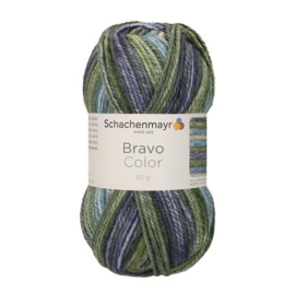 Bravo Color SMC 2122 Moor color