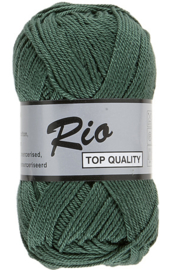 Lammy Yarns Rio katoen 072 Groen