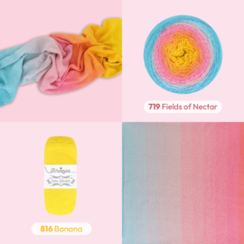 Scheepjes Cotton Whirl - 719 Fields of Nectar