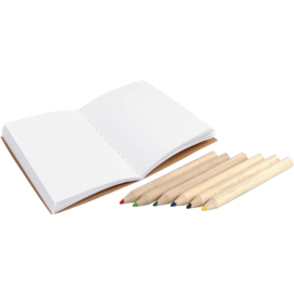 Mini creatieve set - Insecten