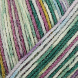 Regia 4ply design line A&C Lofoten Color 3884 Leknes color