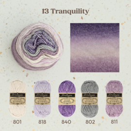Scheepjes Stone Washed Flow 13 Tranquility