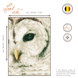 Telpakket kit Uil