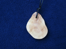 Talisman van Beuk TA264 / Vriendschapshanger; duohanger