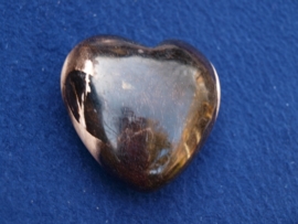 Versteend hout, hart HH18