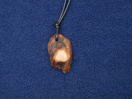 Talisman van Beuk TA249