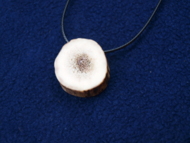 Talisman van Hert TA194
