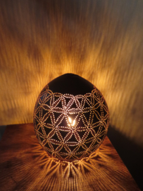 KL5 Flower of life