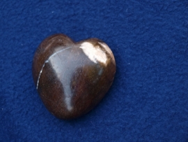 Versteend hout, hart HH19