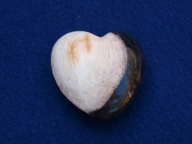 Versteend hout, hart HH16