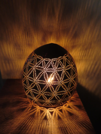 KL5 Flower of life