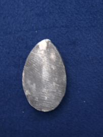 Orthoceras ORT7