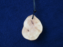 Talisman van Beuk TA264 / Vriendschapshanger; duohanger