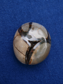 Septarian SEPT21