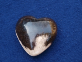 Versteend hout, hart HH30