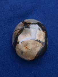 Septarian SEPT22