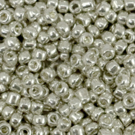 Rocailles 3mm 8/0 10 gram, Metallic shine warm silver