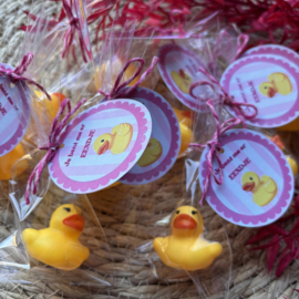 Je bent me er eendje