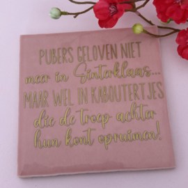 Tegel Pubers geloven niet....