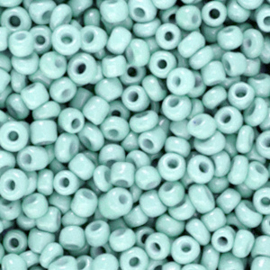 Rocailles 3mm 8/0 10 gram, Pale blue