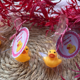 Je bent me er eendje