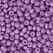 Rocailles 3mm 8/0 10 gram, Paisley purple